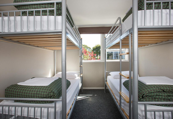 Two-Night Epic Ohakune Old Coach Road Bike or Walk Adventure for Two People in the Private or Ensuite Room incl. Transport, Bike Rental, Breakfast, Access to the Hot Tub & Sauna