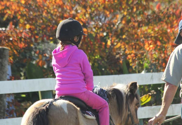 Kids' Pony Party for up to 12 Children incl. Venue Hire, Two Ponies for Pony Rides, Miniature Carriage Rides & Staff Supplied