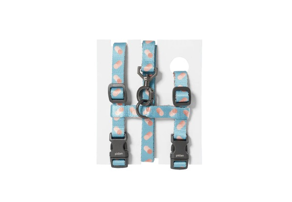 Pidan Cat Harness & Leash Set - Four Colours Available - Elsewhere Pricing $32.99