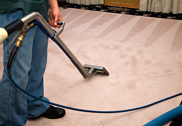 Carpet Cleaning for a One-Bedroom Home incl. Pre-Vacuuming, Lounge, Dining Room, Hallway & up to Five Stairs - Options for up to Five Bedrooms