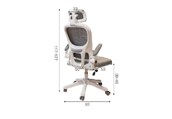 Lumbar Support Office Chair