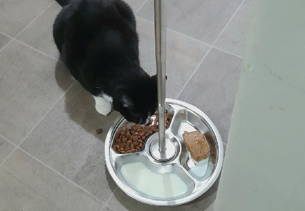 Extendable Pet Feeding Dish