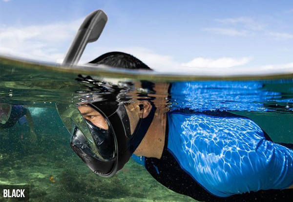 Full-Face Snorkeling Mask with Ear Plugs - Two Colours & Two Sizes Available