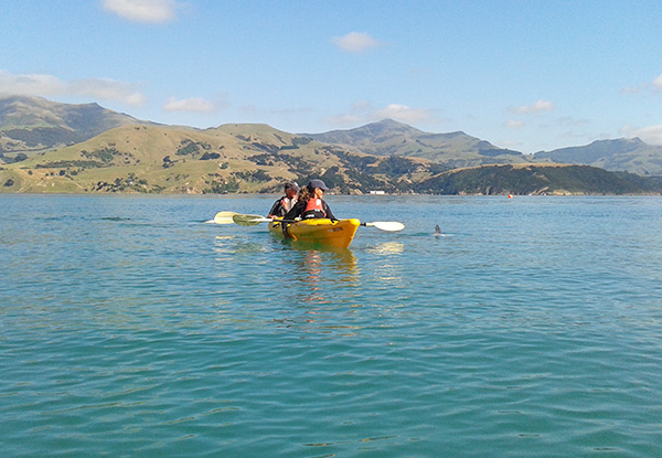 One Hour of  Wildlife Kayaking for Two People - Option for Two Hours