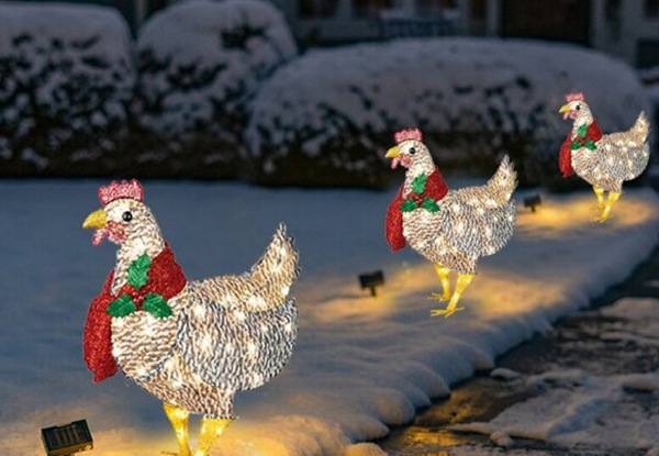 Light-Up Christmas Chicken - Option for Two