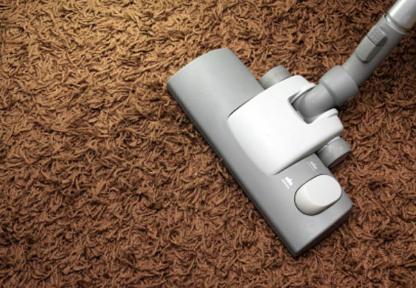 Home Carpet Cleaning incl. Lounge & Hallway - Options for up to Five-Bedroom Homes