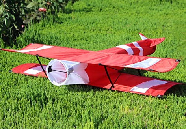 3D Plane Kite