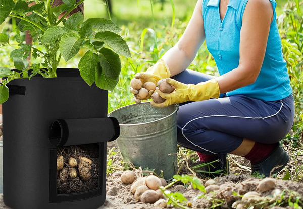 Potato Grow Bag with Flap - Available in Two Colours & Two Sizes