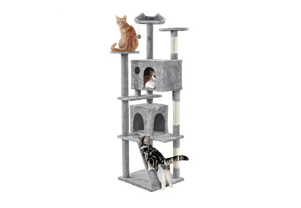 Cat 202.5cm Tree Tower - Two Colours Available