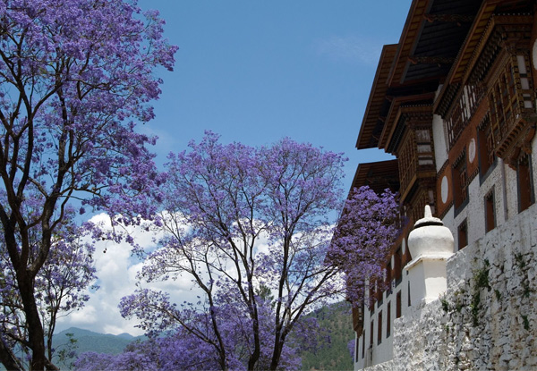 10-Day Bhutan Highlight Tour for Two incl. Accommodation, Internal Flights & Transfers, English Speaking Guide, Meals & Entrance Fees ($4159 Per Person)