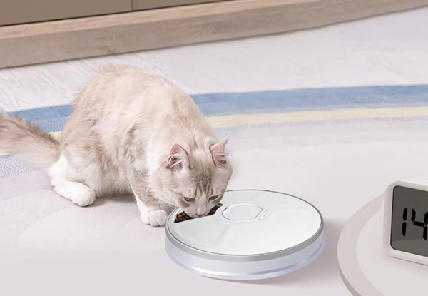 Automatic Pet Feeder with Timer