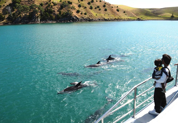 Harbour Conservation Cruise - Four Dates Available