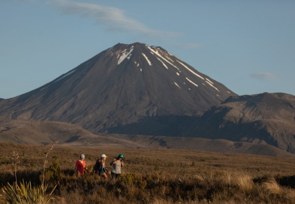 Two-Night Tongariro Alpine Crossing Mid-Week Accommodation Package for Two incl. Transfers, Breakfast & Dinner On Day of Hike - Options for Four People, Groups of 5-9 or 10+, and Weekend Stays - Valid from 6th - 12th January 2025