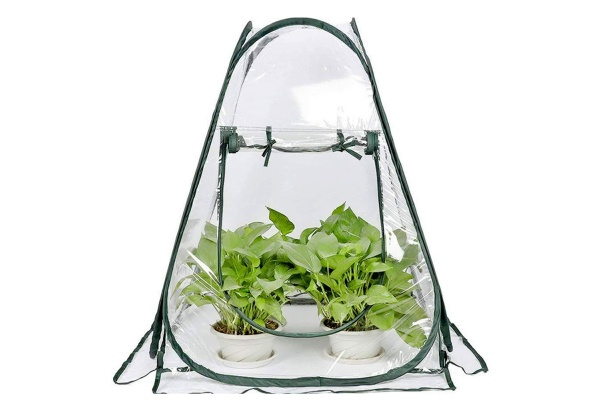 Pop-Up Greenhouse Plant Cover - Option for Two-Pack