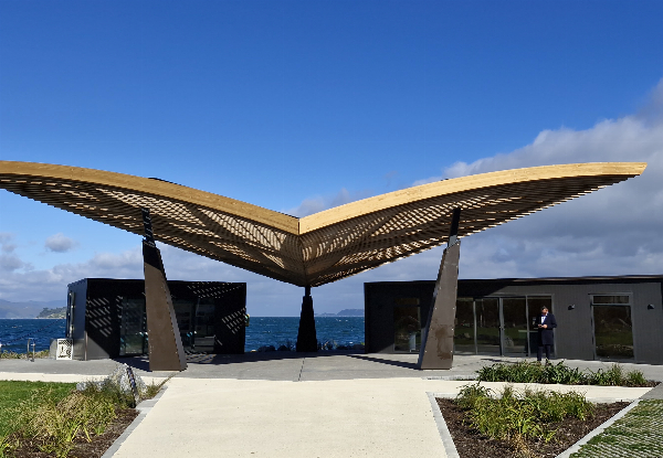 The Ultimate Wellington Bays & Petone Full-Day eBike Adventure - Options for Two & Four People
