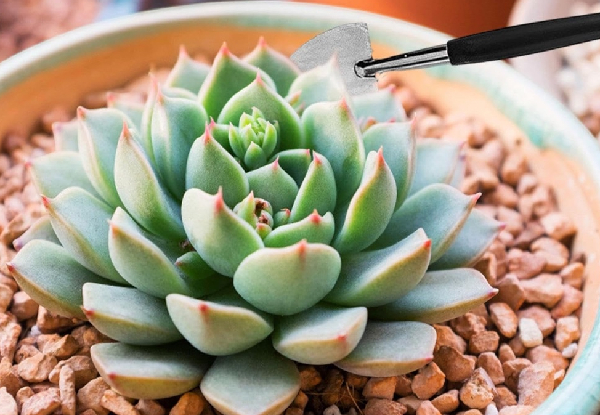 14-Piece Mini Garden Succulent Tool Set