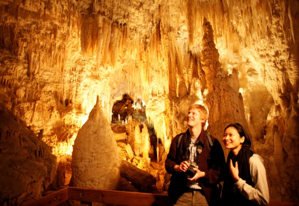Full Guided Tour of Waitomo for One Person incl. Pickup, Drop Off & Glowworm Caves Entry - Options for up to Four People