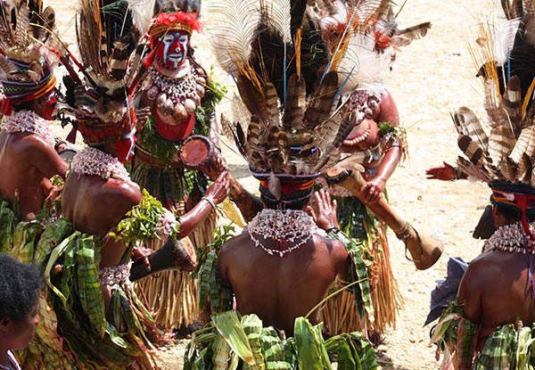 Per-Person Twin-Share Fly, Cruise, Stay Package incl. Return Flights to Cairns, One-Night Pre & Post Cruise Accommodation & Seven-Night Cruise to Papua New Guinea & The Conflict Islands - Options for Inside Cabin & Oceanview Cabin Available