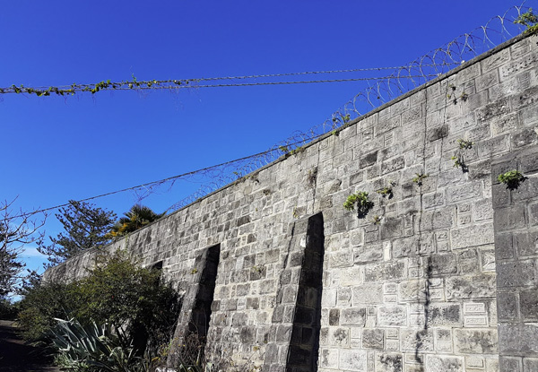 Escape Room Experience at Napier Prison - Options for up to 12 People - Option for Prison Tour & Escape Room Combo