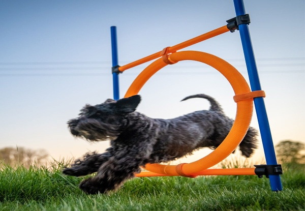 Dog Agility Training Hoop