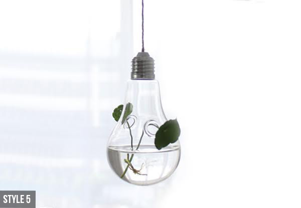 Hanging Glass Water Plant Pot - Five Styles Available