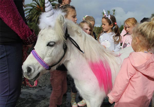 Kids' Pony Party for up to 12 Children incl. Venue Hire, Two Ponies for Pony Rides, Miniature Carriage Rides & Staff Supplied