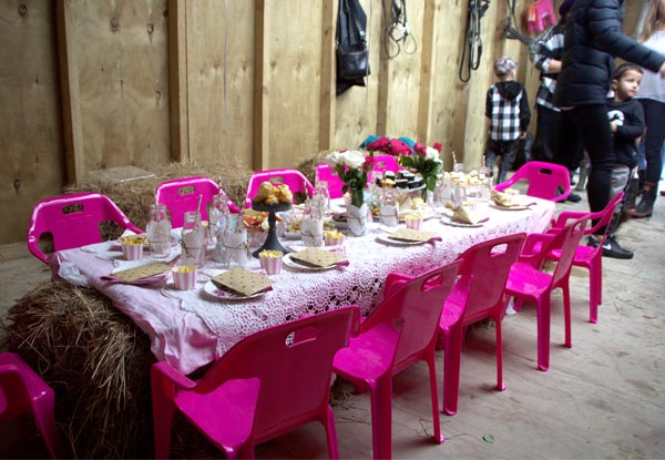 Kids' Pony Party for up to 12 Children incl. Venue Hire, Two Ponies for Pony Rides, Miniature Carriage Rides & Staff Supplied