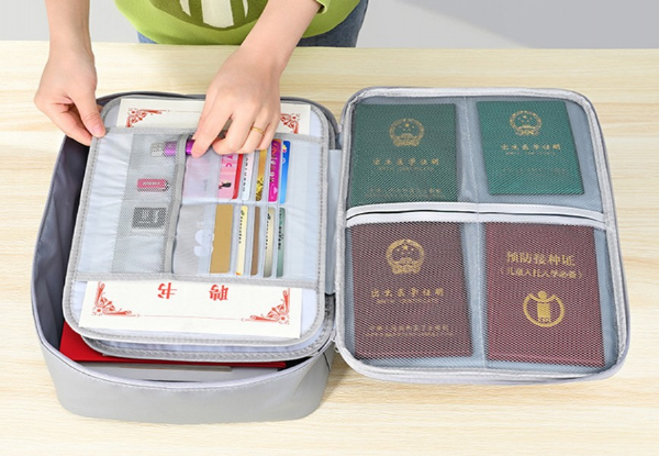 Large Capacity Travel Document Packet - Three Colours Available