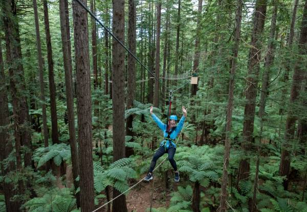 Guided Redwoods Altitude Experience for Adult or Child incl. Ziplining & 25-Metre High Guide