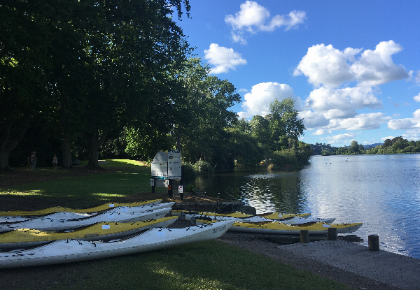 Three-Hour Glow Worm Adventure Kayak Trip for One Adult - Option for Child, Two Adults & a Family Pass Available