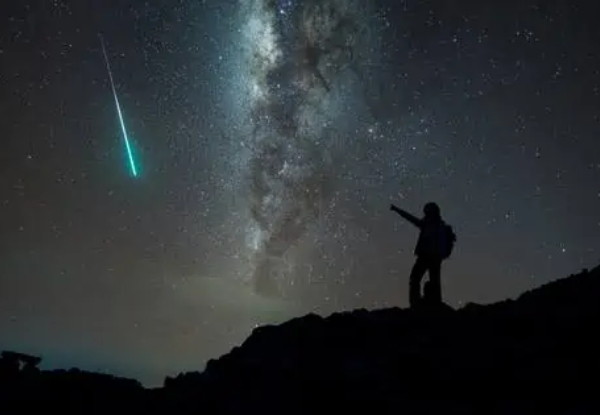 Night-time Wonders Kiwi Spotting and Stargazing Tour at Tawharanui