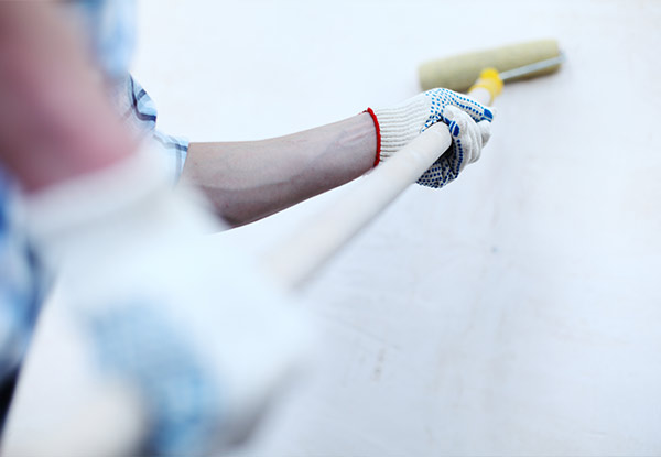 10 Hours of Internal or External Painting Services - Option for 12 or 24 Hours