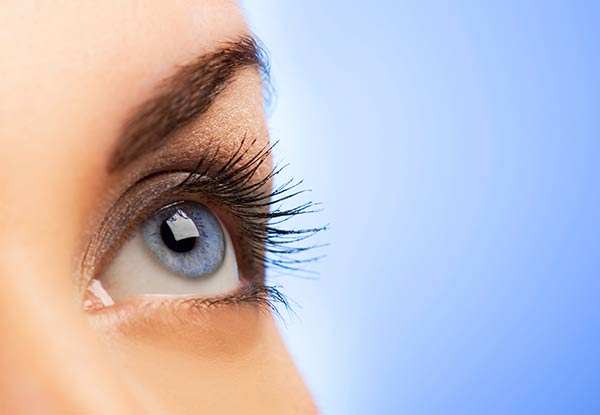 Perfection Eye Package incl. Lash Lift with Tint, Brow Henna or Tint & Shape
