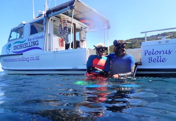 Shared Snorkelling Trip for Four People - Options for up to Six People or Private Snorkelling Charter for up to 12 people