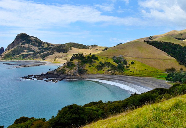 Adult Ferry Ticket to Coromandel Town Return - Option for a Child Ticket