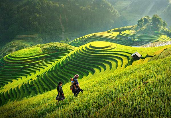Per-Person Double/Twin Share for a 12-Day Vietnam North to South Tour incl. Overnight Train Journey, Overnight Cruise, Guided Tours & More