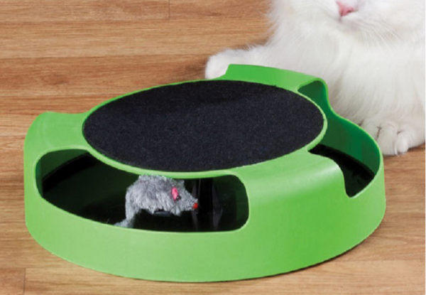 Pet Cat & Mouse Game with Free Delivery