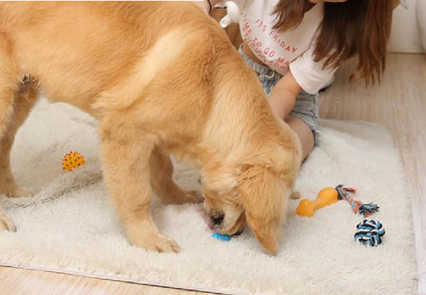 21-Piece Assorted Dog Toys Set