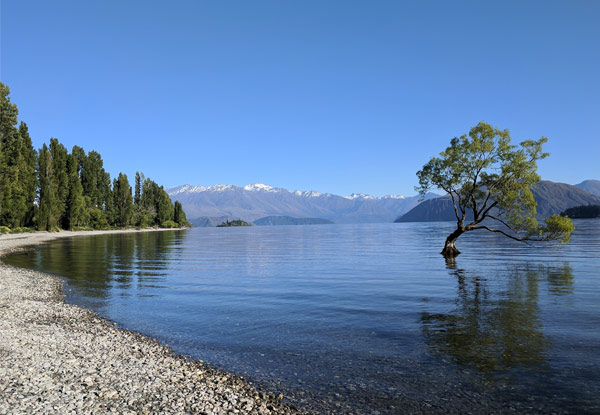 Per-Person Twin-Share Nine-Night Discover the South Island Tour incl. Most Meals, Accommodation in Premium Hotels, Luxury Coach, Airport Transfers & Sight Seeing