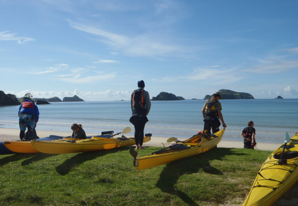 Guided Kayak Day Trip in a Spectacular Part of Northland for One-Person, incl. Lunch - Option for Two People