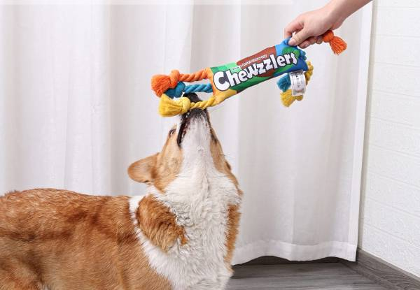 Rainbow Candy Shaped Dog Chew Toy