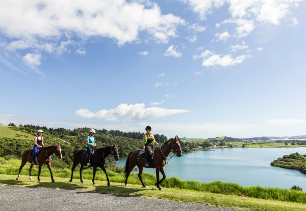 One-Hour Horse Trek for One-Person in the Bay of Islands - Option for Two People Available