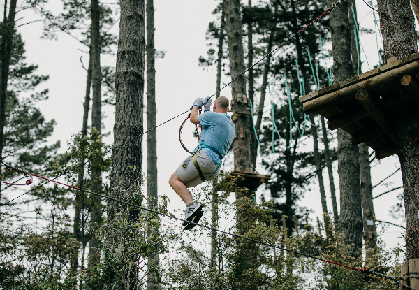 One Adult or Child Admission to Adrenalin Forest Park Porirua, Wellington - Valid Thursday to Sunday