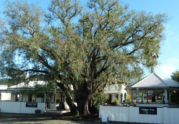 Return Flight to Coromandel for One-Person incl. Two Course Meal with Drinks at Pepper Tree Restaurant - Options for up to Three People & Early Deposit Payment