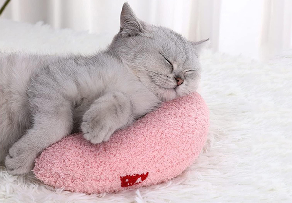 Soft Half Donut Cuddler Pet Pillow - Four Colours Available