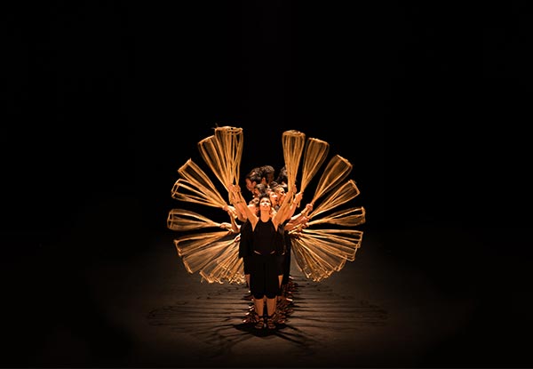 One Adult A-Reserve Ticket (for B-Reserve Price) to breathtaking circus, A O Lang Pho on Friday, 16th March 2018 at The Civic, Auckland - Options for a Child Ticket (Booking Fees Apply)