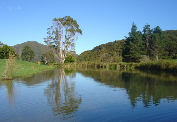 Round of Golf & a House Wine or Beer - Options for up to Four People