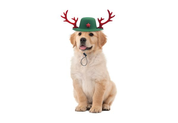 Pet Christmas Reindeer Antlers Hat - Available in Two Colours & Option for Two-Pack