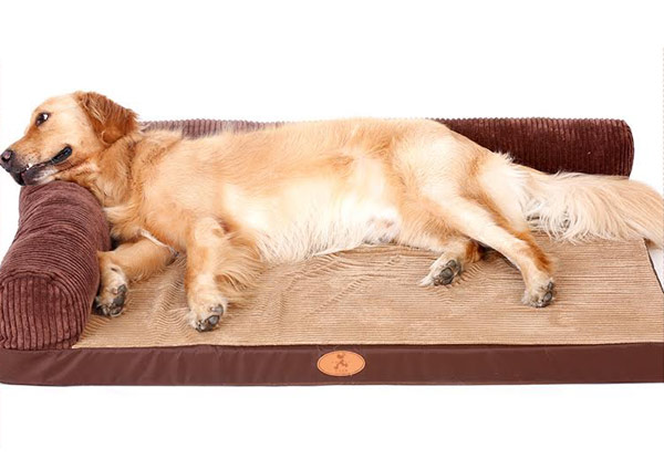 Pet Bed with Memory Foam - Three Sizes Available