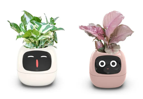 Smart Flowerpot - Two Colours Available